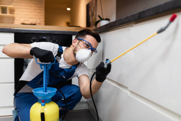 Trusted Rose Hill, NC Pest Control Experts