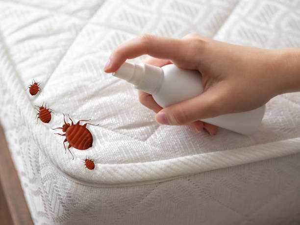 Best Emergency Pest Control  in Rose Hill, NC