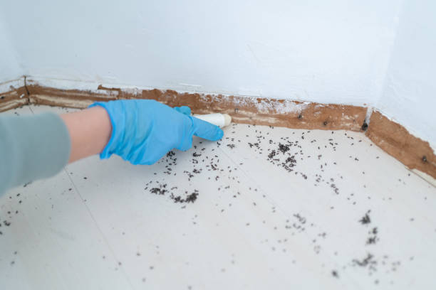Best Mosquito Control Services  in Rose Hill, NC