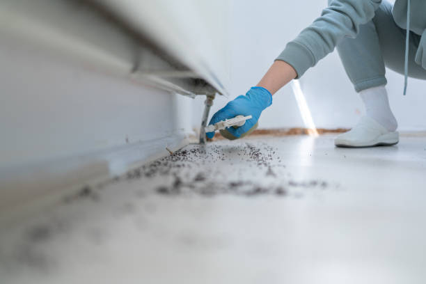Best Cockroach Control Services  in Rose Hill, NC